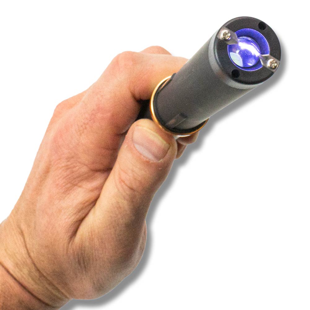 Hidden Stun Gun Brush