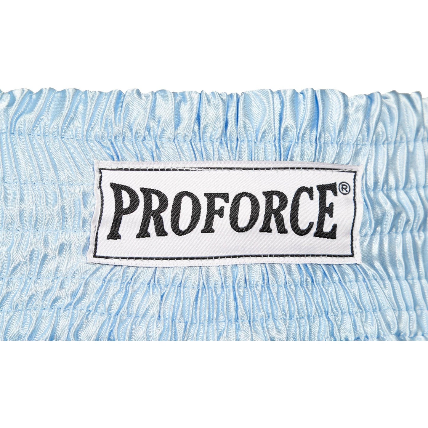 ProForce Sport Angel Wing Muay Thai Shorts - w/ Light Blue Bows - Violent Art Shop