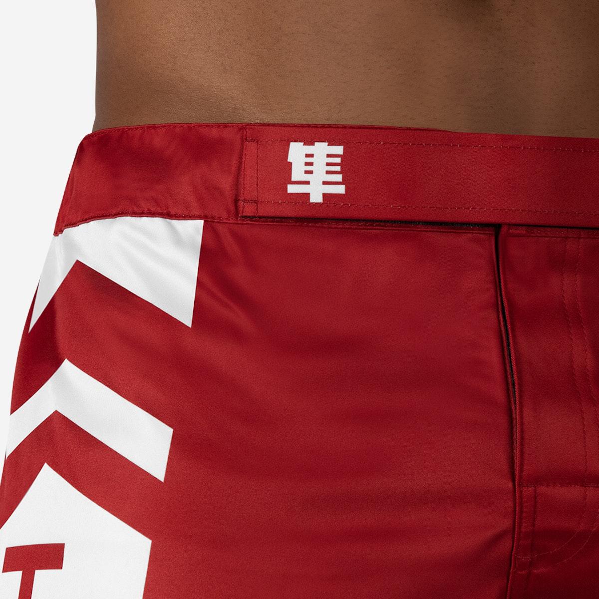 Hayabusa Icon MMA Shorts - Violent Art Shop