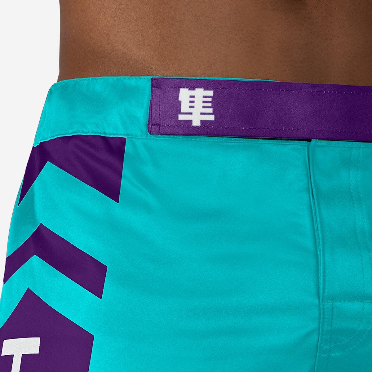 Hayabusa Icon MMA Shorts - Violent Art Shop