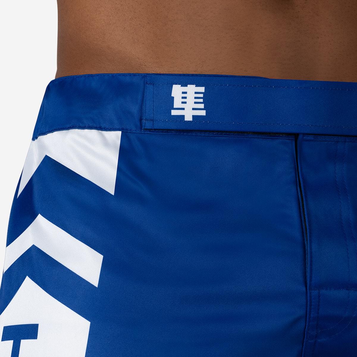 Hayabusa Icon MMA Shorts - Violent Art Shop