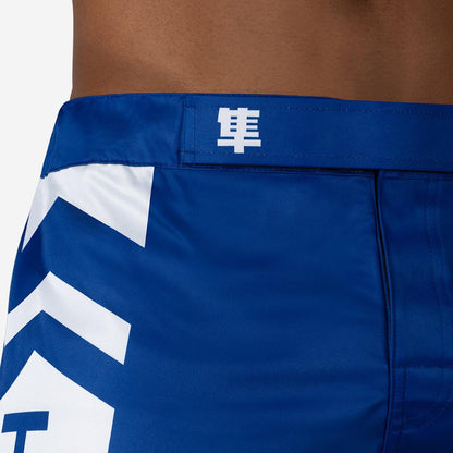 Hayabusa Icon MMA Shorts - Violent Art Shop