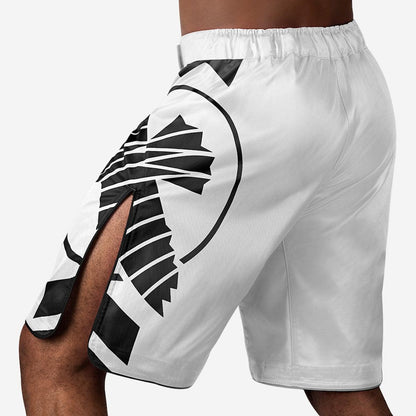 Hayabusa Icon MMA Shorts - Violent Art Shop
