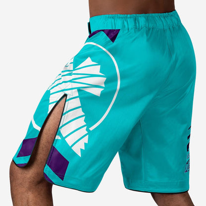 Hayabusa Icon MMA Shorts - Violent Art Shop