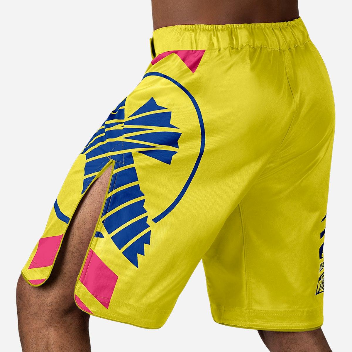 Hayabusa Icon MMA Shorts - Violent Art Shop