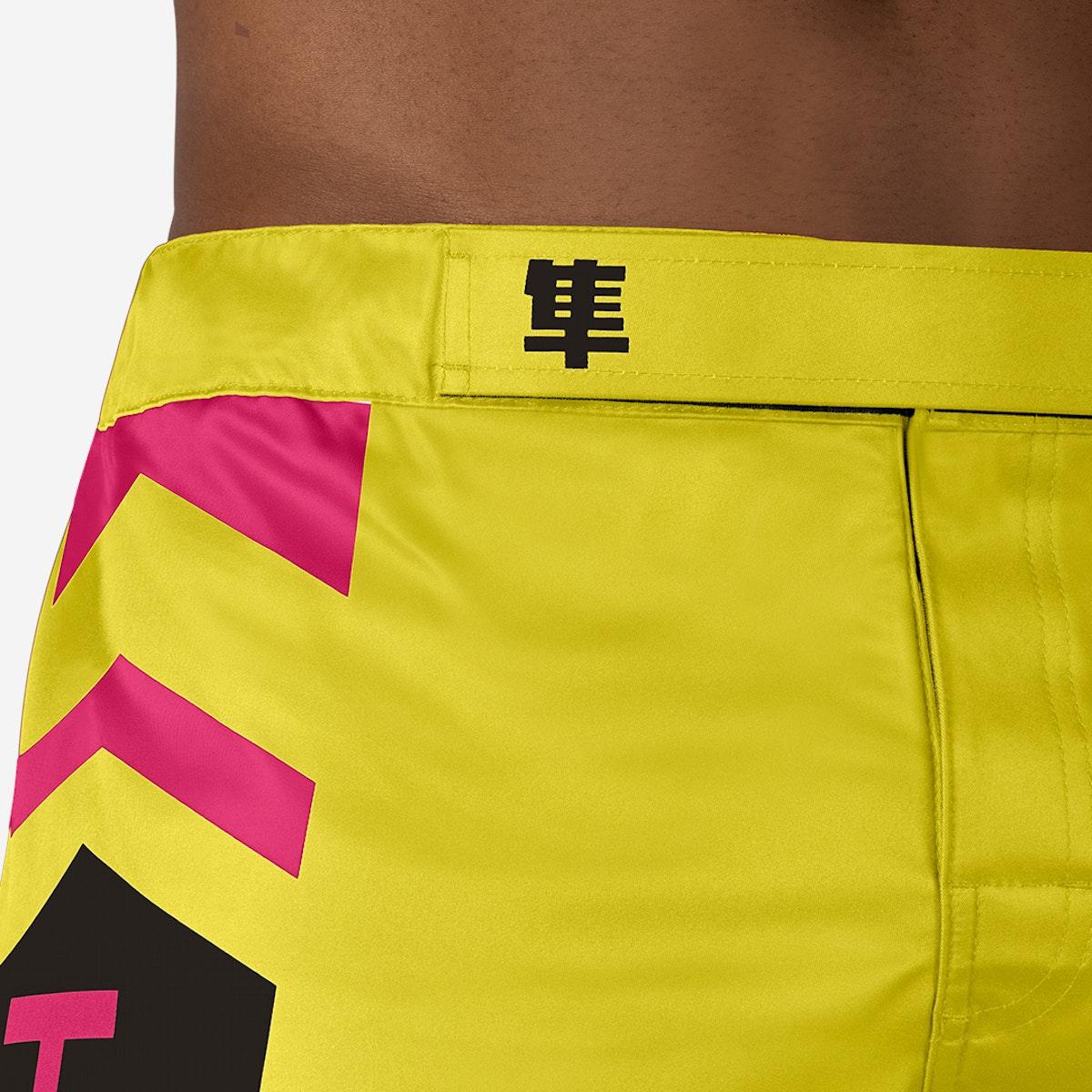 Hayabusa Icon MMA Shorts - Violent Art Shop
